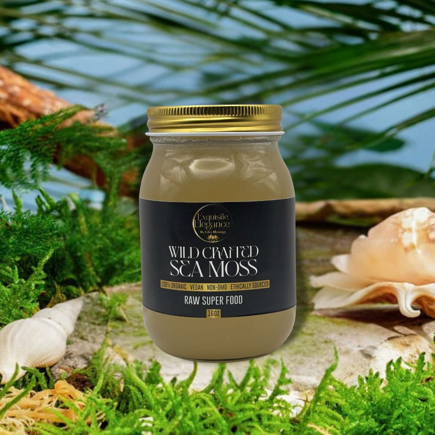 Gel de musgo marino elaborado de forma silvestre