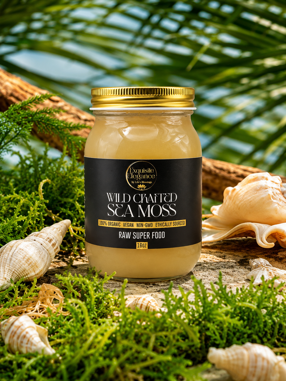 Wild Crafted Sea Moss Gel